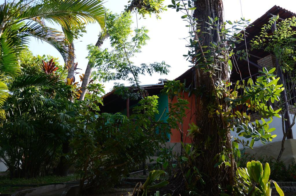 Vila Sofia chalès Morro de São Paulo Extérieur photo